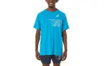 ASICS T Shirts Men's Blue Crew Neck Moderate Straight Fit