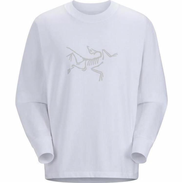 Мужская футболка Arcteryx ARCHAEOPTERYX (черная)