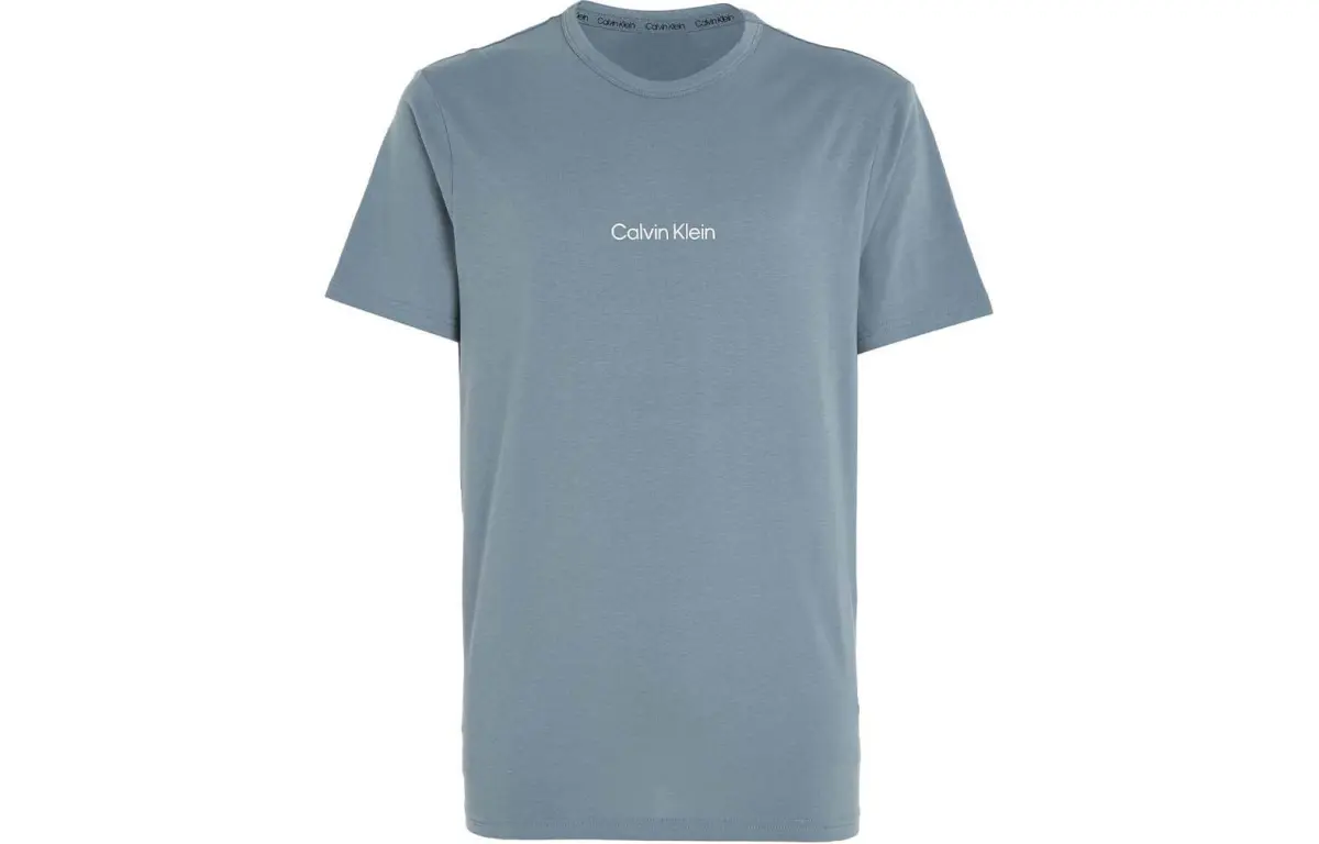 CALVIN KLEIN T Shirt Men's Gray