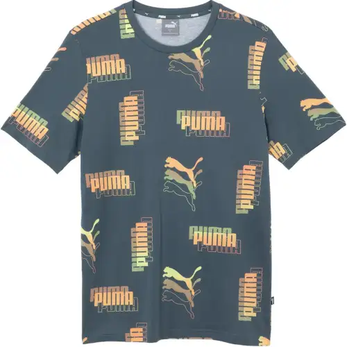 PUMA POWER SUMMER AOP T Shirts Men's Gray Blue Crew Neck Moderate