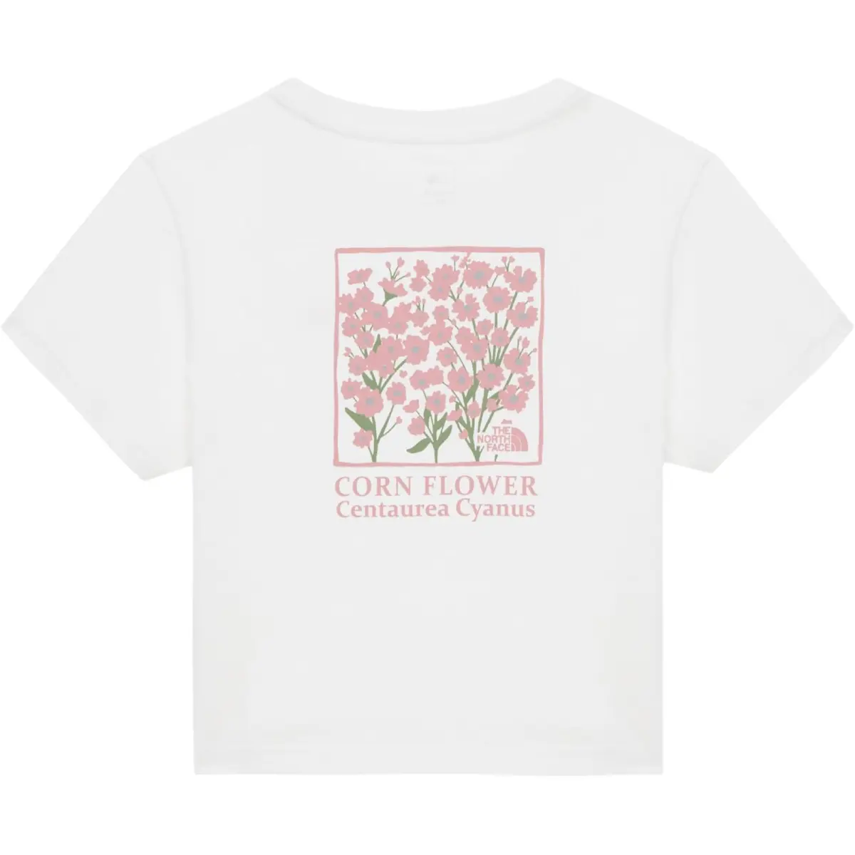 THE NORTH FACE T Shirt Women's White
