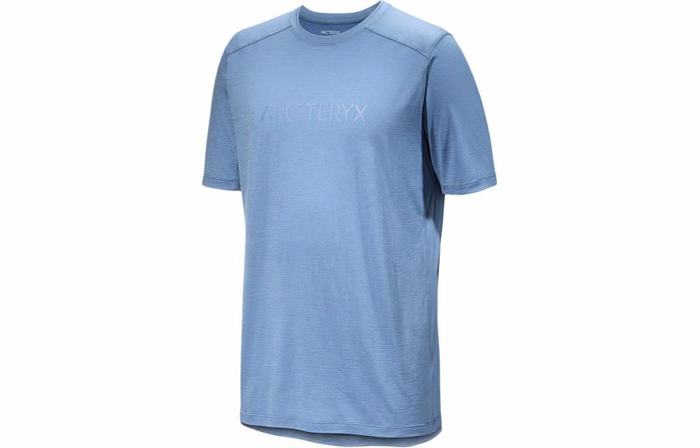 Мужская футболка Arcteryx Arcteryx IONIA MERINO WOOL ARC'WORD LOGO SS T (черный/черный)