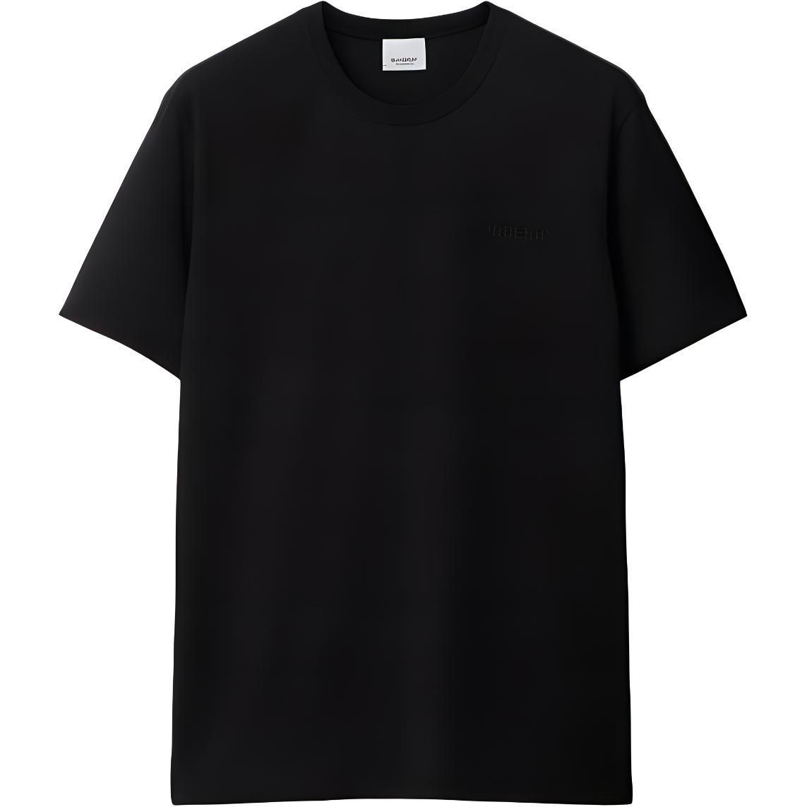 Мужская футболка Burberry Burberry SS24 T (черная)