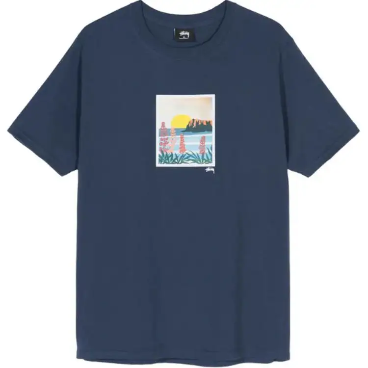 Stussy Coastal Tee