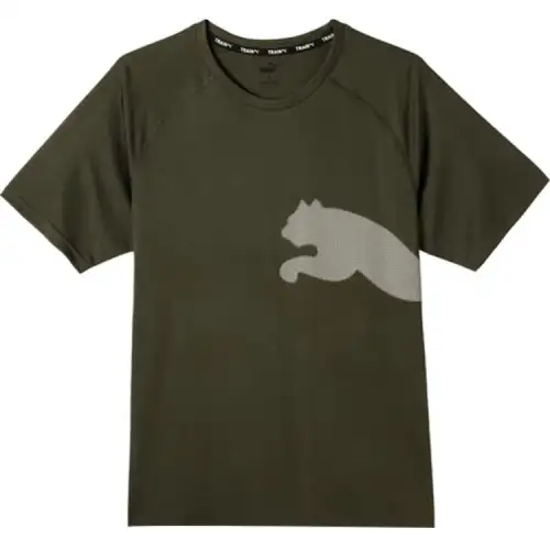 PUMA Raglan Sleeve T-Shirt Men's Dark Olive
