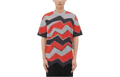 Bottega Veneta T Shirt Men's Multicolor