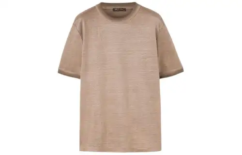 Loro Piana T Shirts Men's Brown Crew Neck Moderate Other