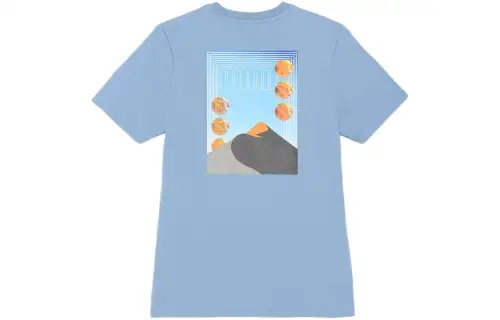 PUMA T Shirts Men's Blue Crew Neck Moderate Straight Fit