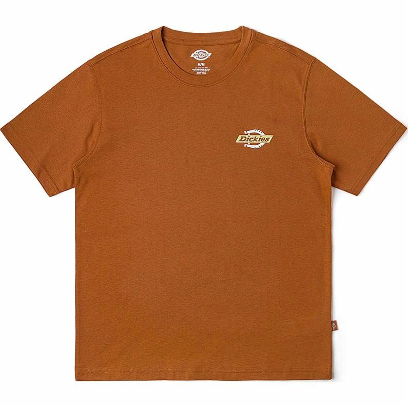 Футболка Dickies (белая)