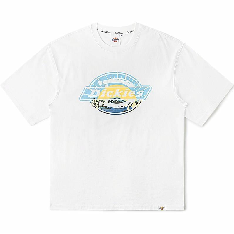 Футболка Dickies logo T (белая)