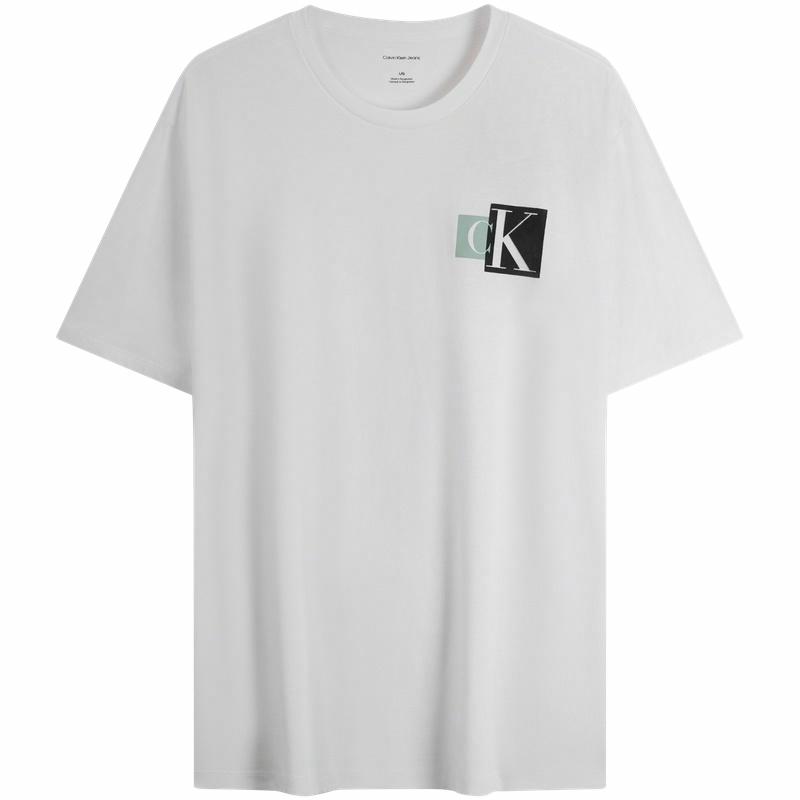 Мужская футболка CALVIN KLEIN JeansSS25 (черная)