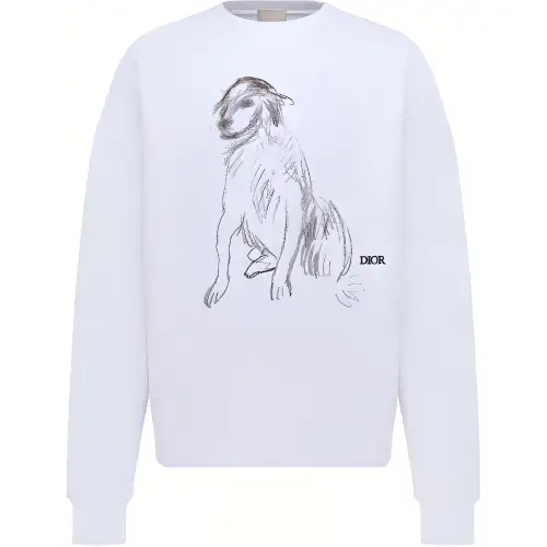 DIOR Sweatshirts Men's White Crew Neck Moderate Other