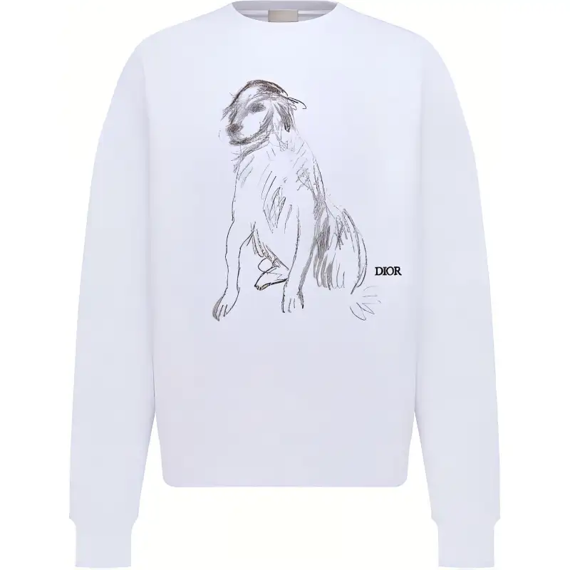 DIOR Sweatshirts Men's White Crew Neck Moderate Other