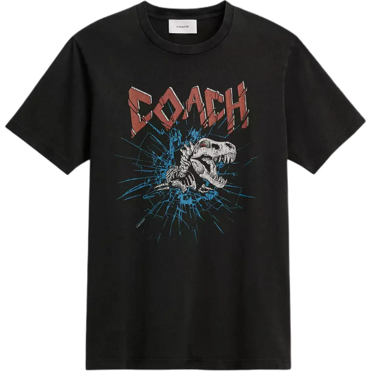 COACH T-Shirts Unisex Black Crew Neck Moderate