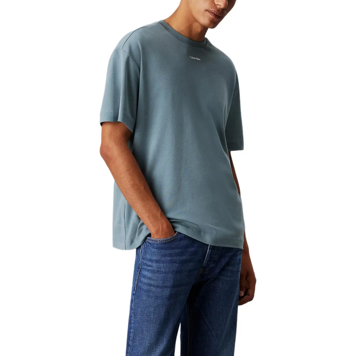 CALVIN KLEIN T Shirt Europe Version Men's Elf Blue