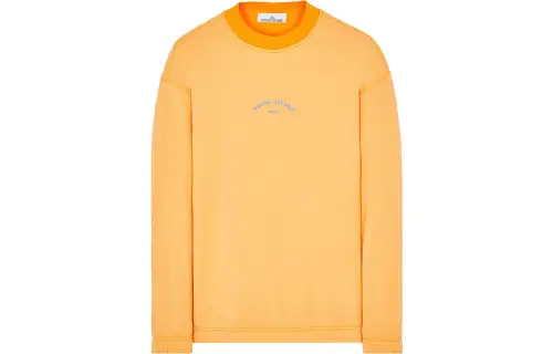 STONE ISLAND Logo print Long sleeve Sweatshirt