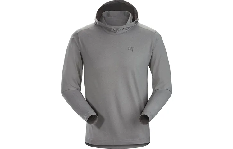 Arcteryx REMIGE Sweatshirts Men's Hooded (Non-detachable) Moderate Regular
