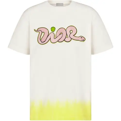 DIOR X Kaws Relaxed Fit T shirt