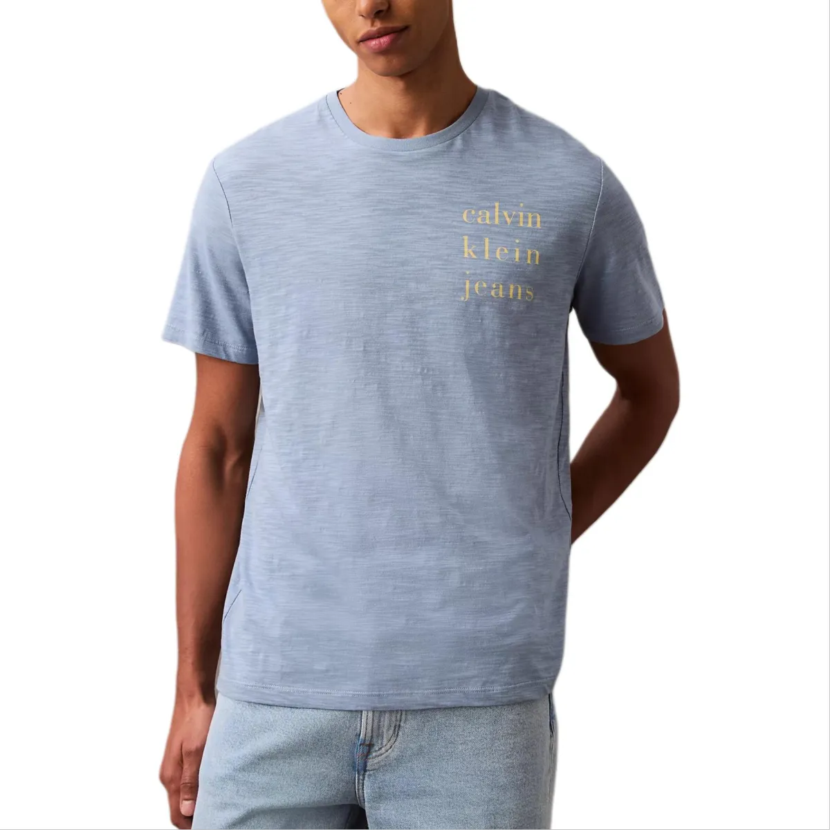 CALVIN KLEIN T Shirt Men's Blue