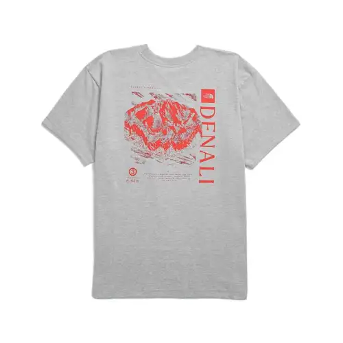 THE NORTH FACE T Shirt Men's Gray