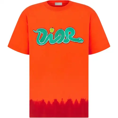DIOR X Kaws Relaxed Fit T shirt