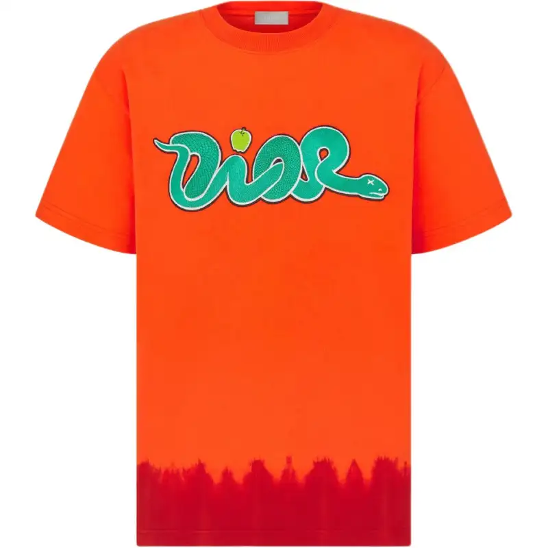 DIOR X Kaws Relaxed Fit T shirt