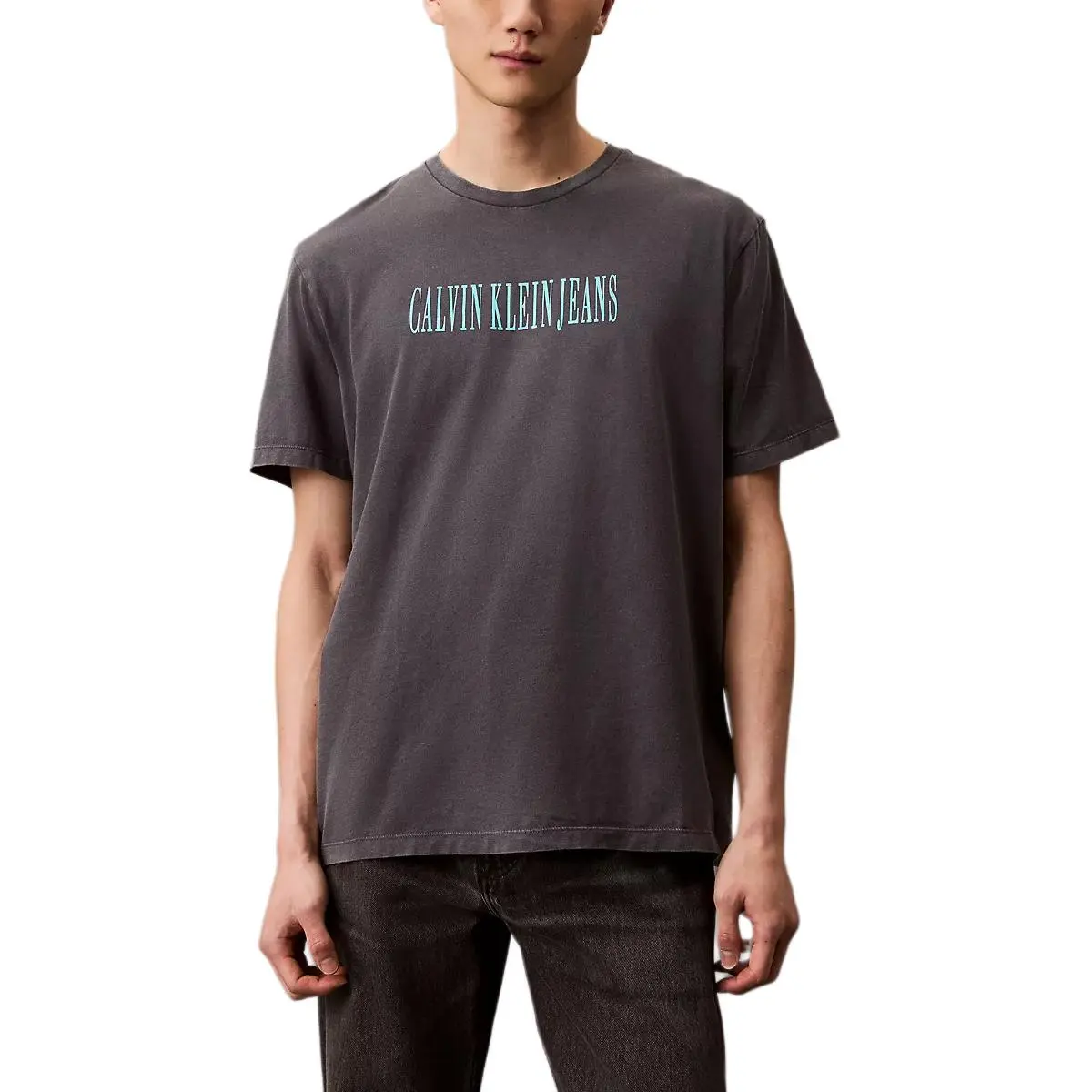 CALVIN KLEIN T Shirt Men's Ebony