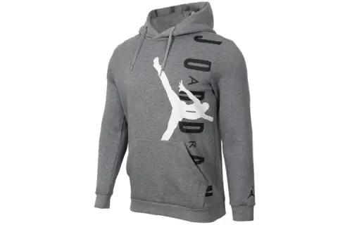 Jordan Sweatshirts Men's Gray Hooded Moderate Regular