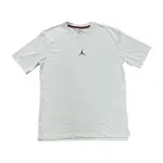 Jordan T Shirts Men's Blue Crew Neck Moderate Straight Fit