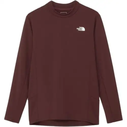 THE NORTH FACE FW24 T Shirt Men's Brown