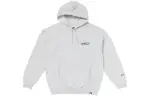 Vans X Alwayth SS23 Sweatshirts Unisex Gray Hooded Moderate Regular
