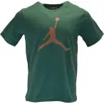 Jordan Apparel T Shirts Men's Green Crew Neck