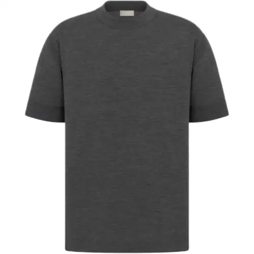 DIOR Solid Color Letter Embroidery Crew Neck Pullover Short Sleeved FW24 T Shirt Men's Gray