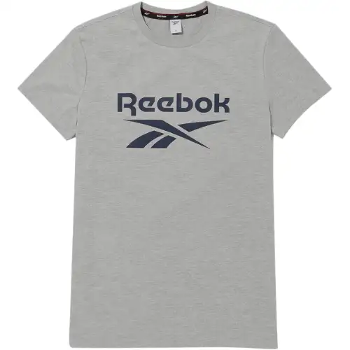 Reebok T Shirts Unisex Gray Crew Neck Moderate Straight Fit