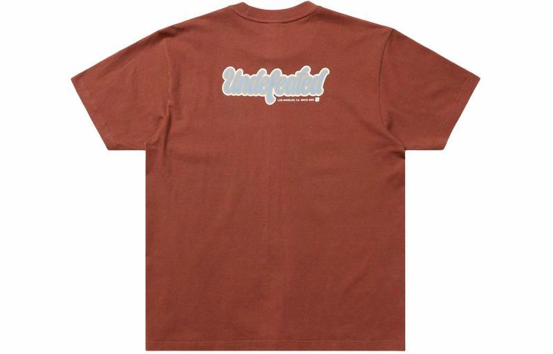 Футболка UNDEFEATED SS24 (белая)