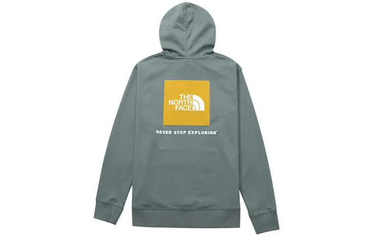 THE NORTH FACE Sweatshirts Men's Emerald Hooded Moderate Straight Fit