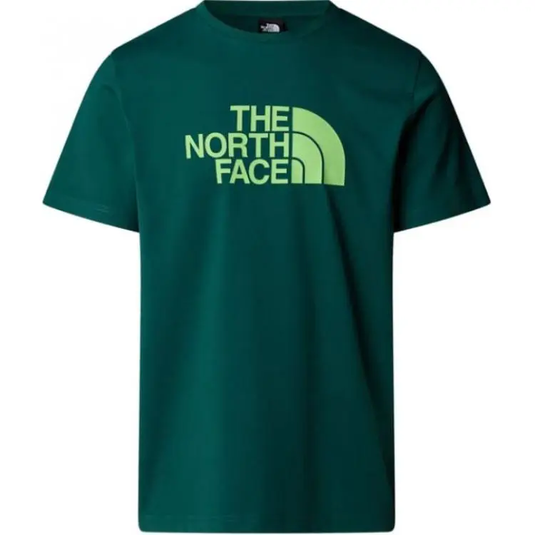THE NORTH FACE Logo print T shirt
