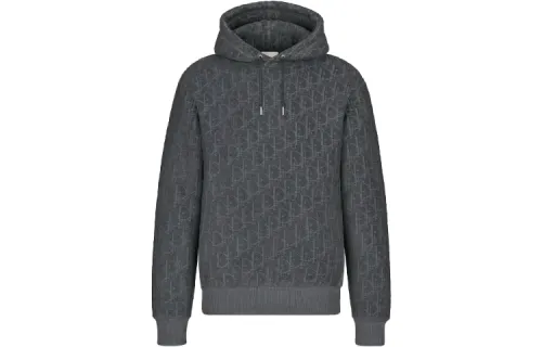DIOR Quarterly New Products Sweatshirts Men's Gray Hooded Moderate Heavyweight