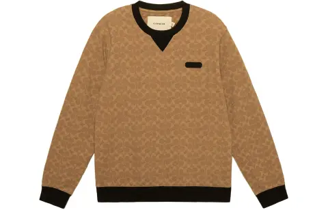 COACH Sweatshirts Men's Brown Crew Neck Moderate