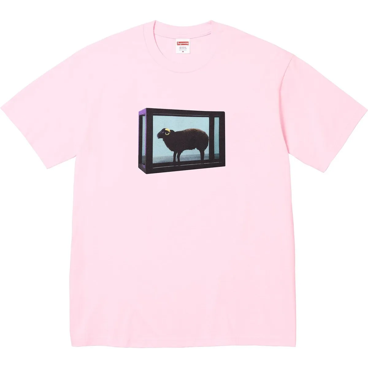 Supreme X Damien Hirst Tee