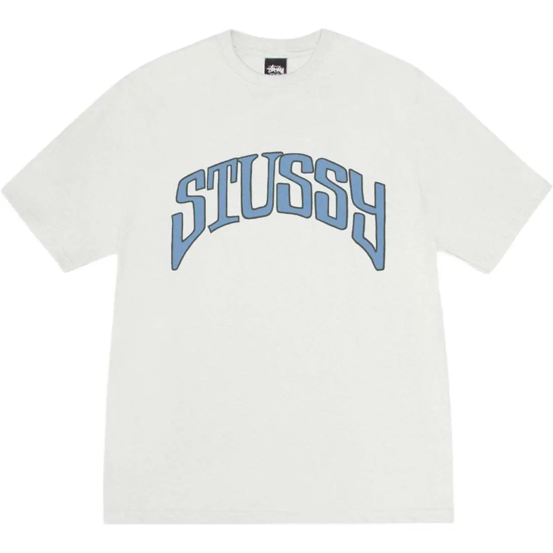 Stussy Arched Pig. Dyed Tee