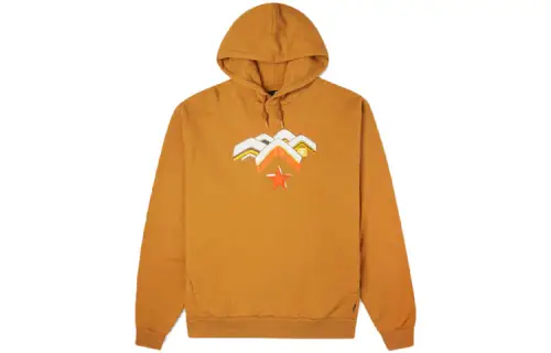 Converse Sweatshirts Men's Brown Hooded Moderate Regular