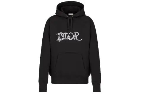 DIOR X Peter Doig Embroidered Logo Hooded Sweatshirt