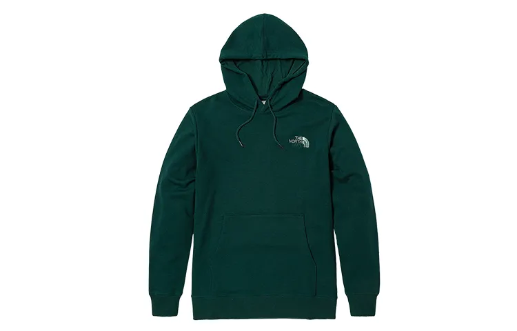 THE NORTH FACE Branding Logo Hoodie 'Teal'