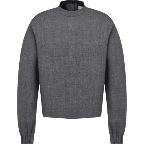 DIOR Sweatshirts Men's Gray Stand Collar Moderate