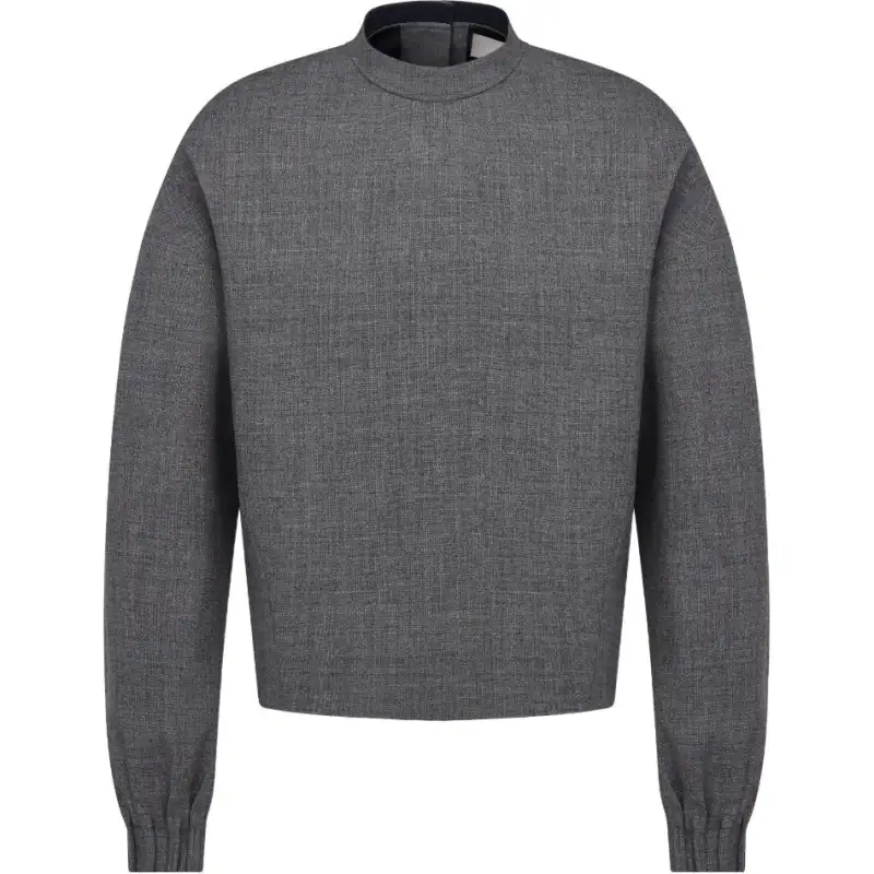 DIOR Sweatshirts Men's Gray Stand Collar Moderate