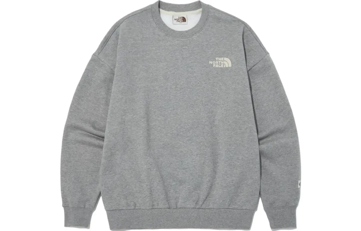THE NORTH FACE Sweatshirts Men's Gray Crew Neck Thickened Regular