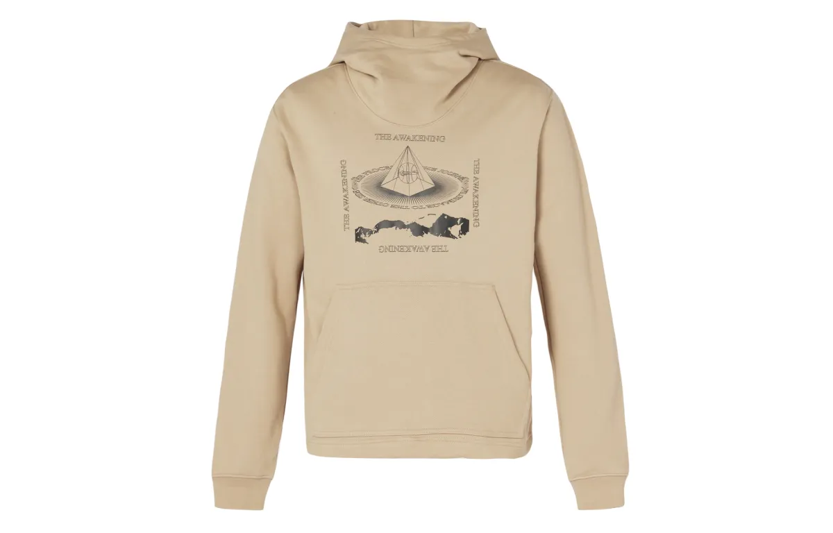 Nike Sweatshirts Men's Khaki Hooded Moderate Regular