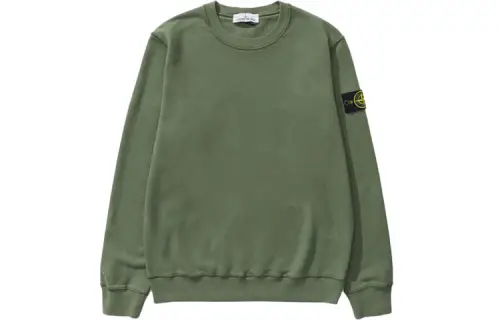 STONE ISLAND FW21 Sweatshirt Unisex Sage Green