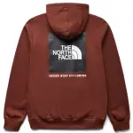 THE NORTH FACE Sweatshirts Men's Chestnut Hooded Moderate Regular